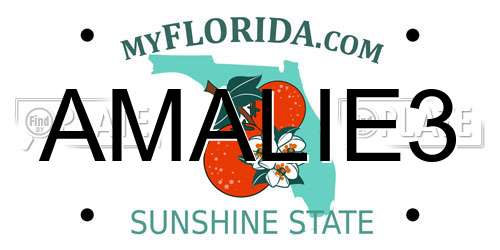 AMALIE3 Florida License Plate