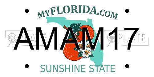AMAM17 Florida License Plate