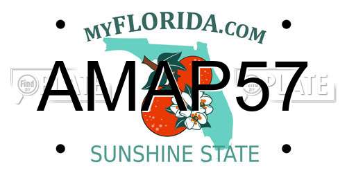 AMAP57 Florida License Plate