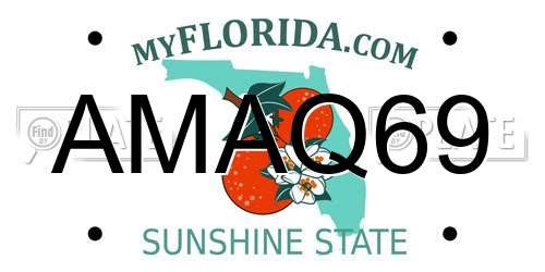AMAQ69 Florida License Plate