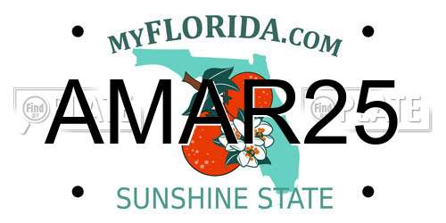 AMAR25 Florida License Plate