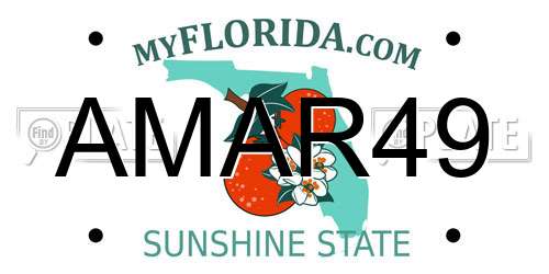 AMAR49 Florida License Plate