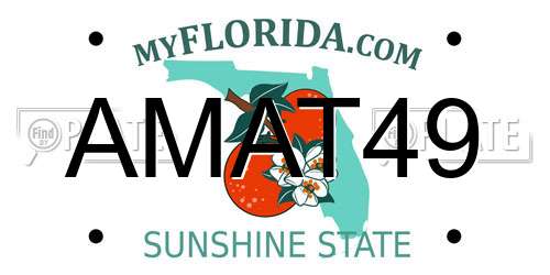 AMAT49 Florida License Plate