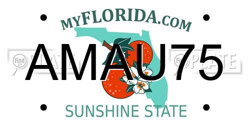AMAU75 Florida License Plate