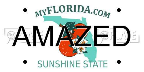 AMAZED Florida License Plate