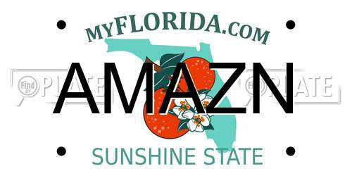 AMAZN Florida License Plate