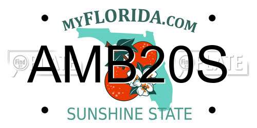 AMB20S Florida License Plate