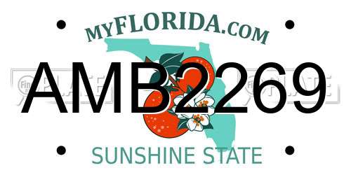 AMB2269 Florida License Plate