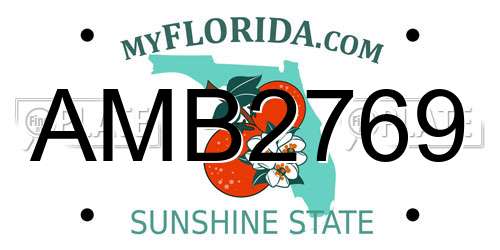 AMB2769 Florida License Plate