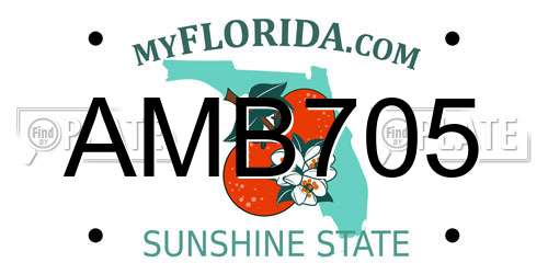 AMB705 Florida License Plate