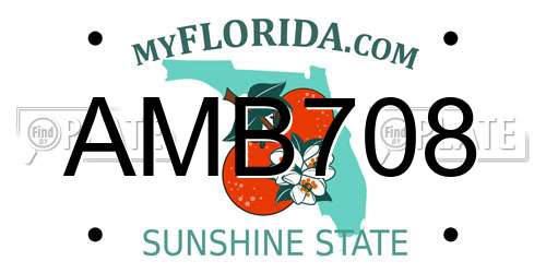 AMB708 Florida License Plate