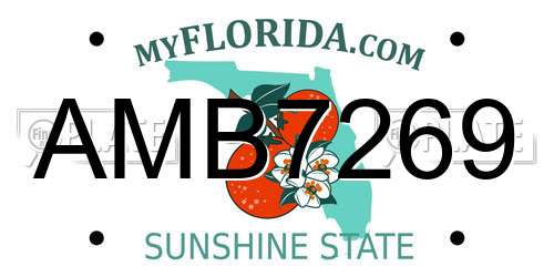 AMB7269 Florida License Plate