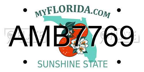 AMB7769 Florida License Plate