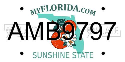 AMB9797 Florida License Plate