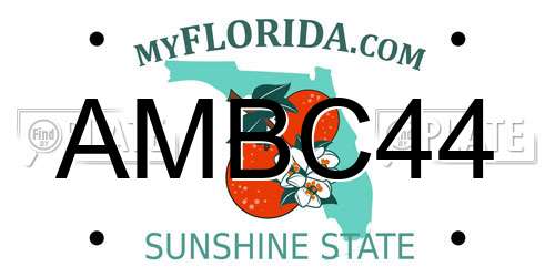 AMBC44 Florida License Plate