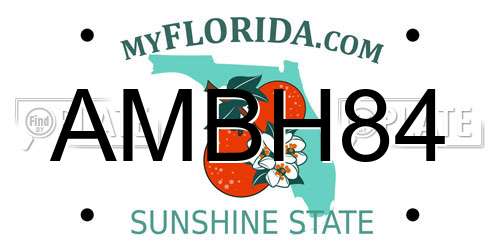 AMBH84 Florida License Plate