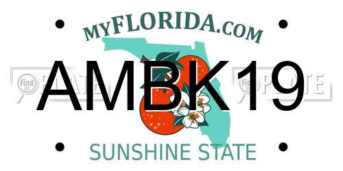 AMBK19 Florida License Plate