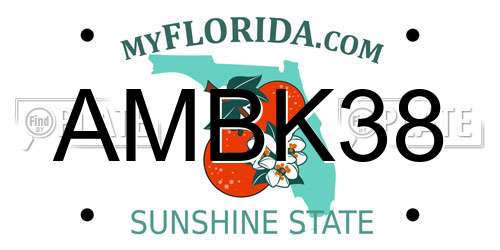 AMBK38 Florida License Plate