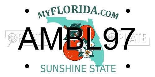 AMBL97 Florida License Plate