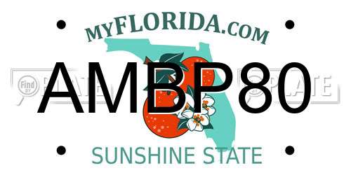 AMBP80 Florida License Plate