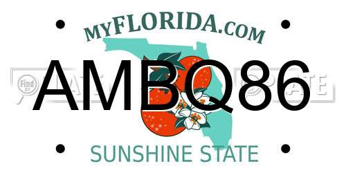 AMBQ86 Florida License Plate