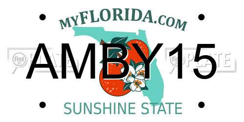 AMBY15 Florida License Plate