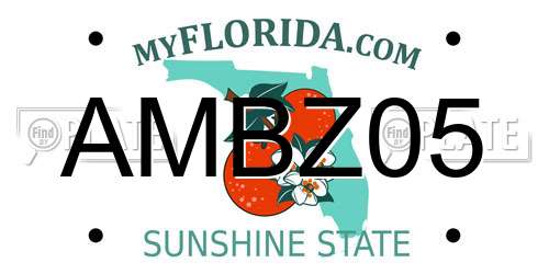 AMBZ05 Florida License Plate