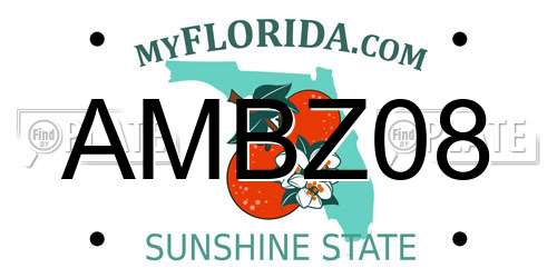 AMBZ08 Florida License Plate