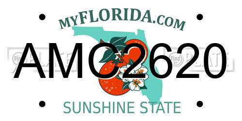AMC2620 Florida License Plate