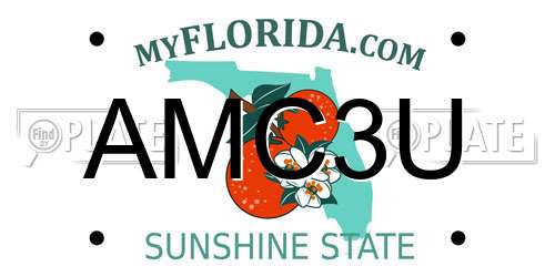 AMC3U Florida License Plate