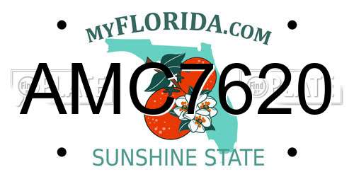 AMC7620 Florida License Plate