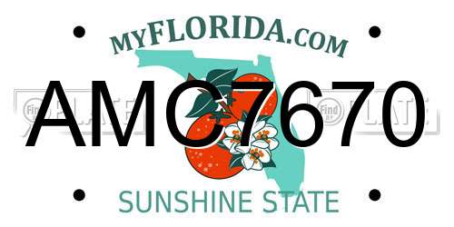 AMC7670 Florida License Plate