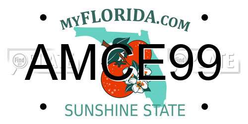 AMCE99 Florida License Plate