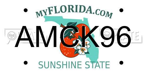 AMCK96 Florida License Plate