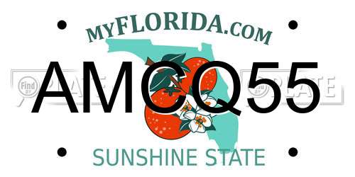 AMCQ55 Florida License Plate