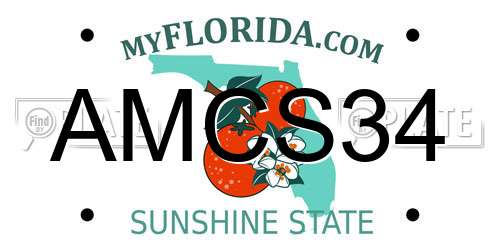 AMCS34 Florida License Plate