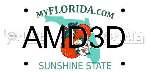 AMD3D Florida License Plate