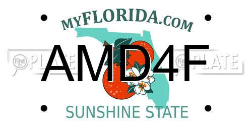 AMD4F Florida License Plate