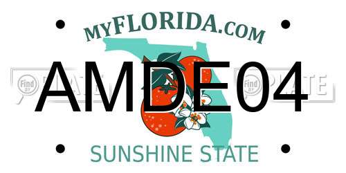 AMDE04 Florida License Plate
