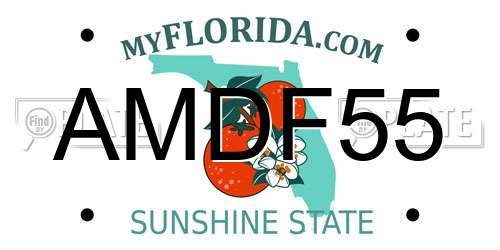 AMDF55 Florida License Plate