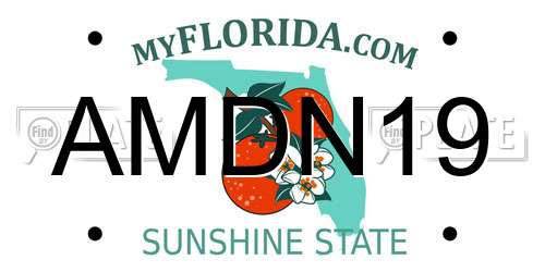 AMDN19 Florida License Plate