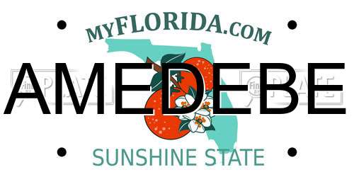 AMEDEBE Florida License Plate