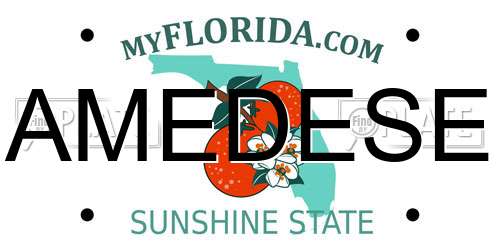 AMEDESE Florida License Plate