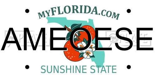 AMEOESE Florida License Plate
