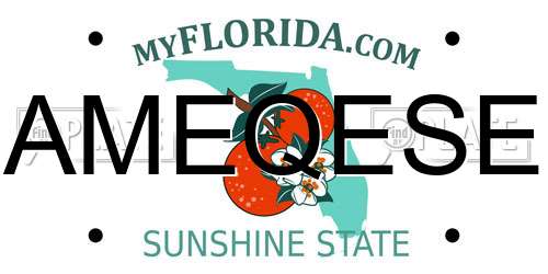AMEQESE Florida License Plate