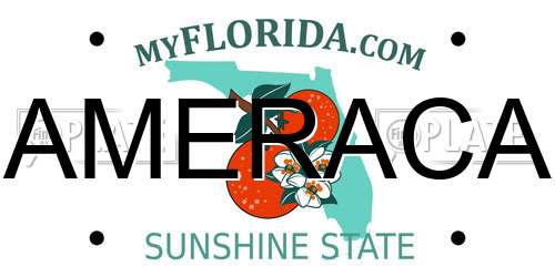 AMERACA Florida License Plate