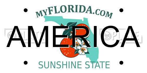 AMERICA Florida License Plate