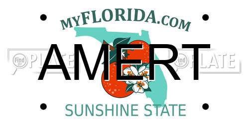 AMERT Florida License Plate