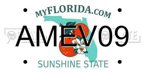 AMEV09 Florida License Plate
