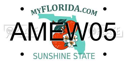 AMEW05 Florida License Plate